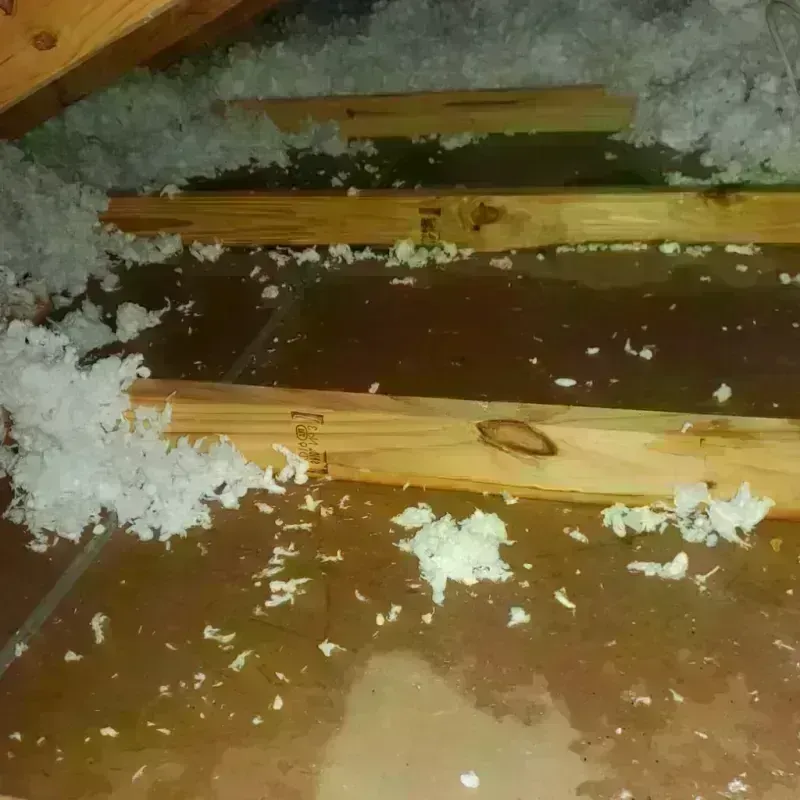 Attic Water Damage in Merrick County, NE